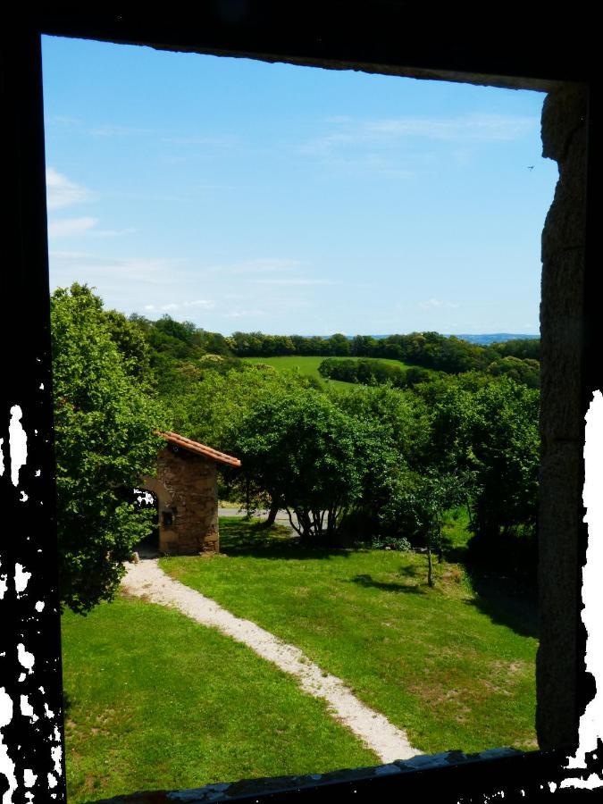 Grande Maison De Caractere En Pierres -Superbe Vue Saint-Cirgues  Exteriör bild